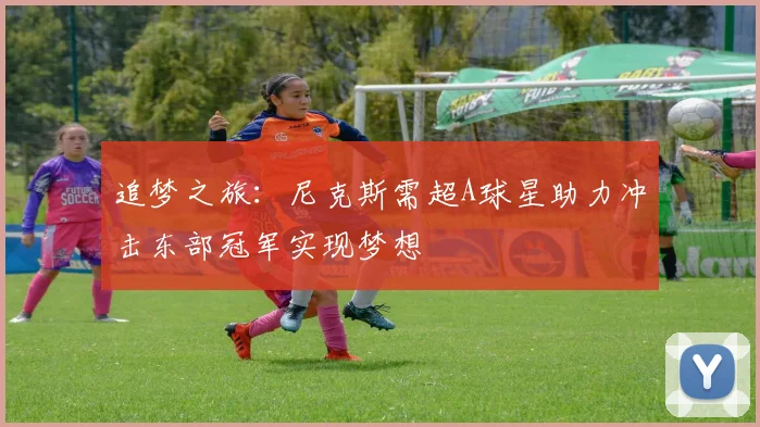 追梦之旅：尼克斯需超A球星助力冲击东部冠军实现梦想
