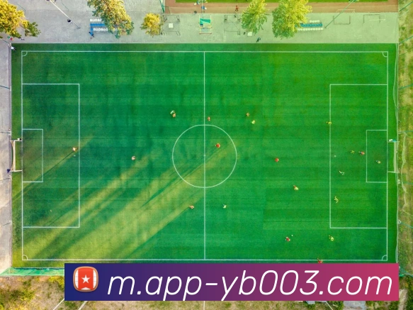 奖项图3